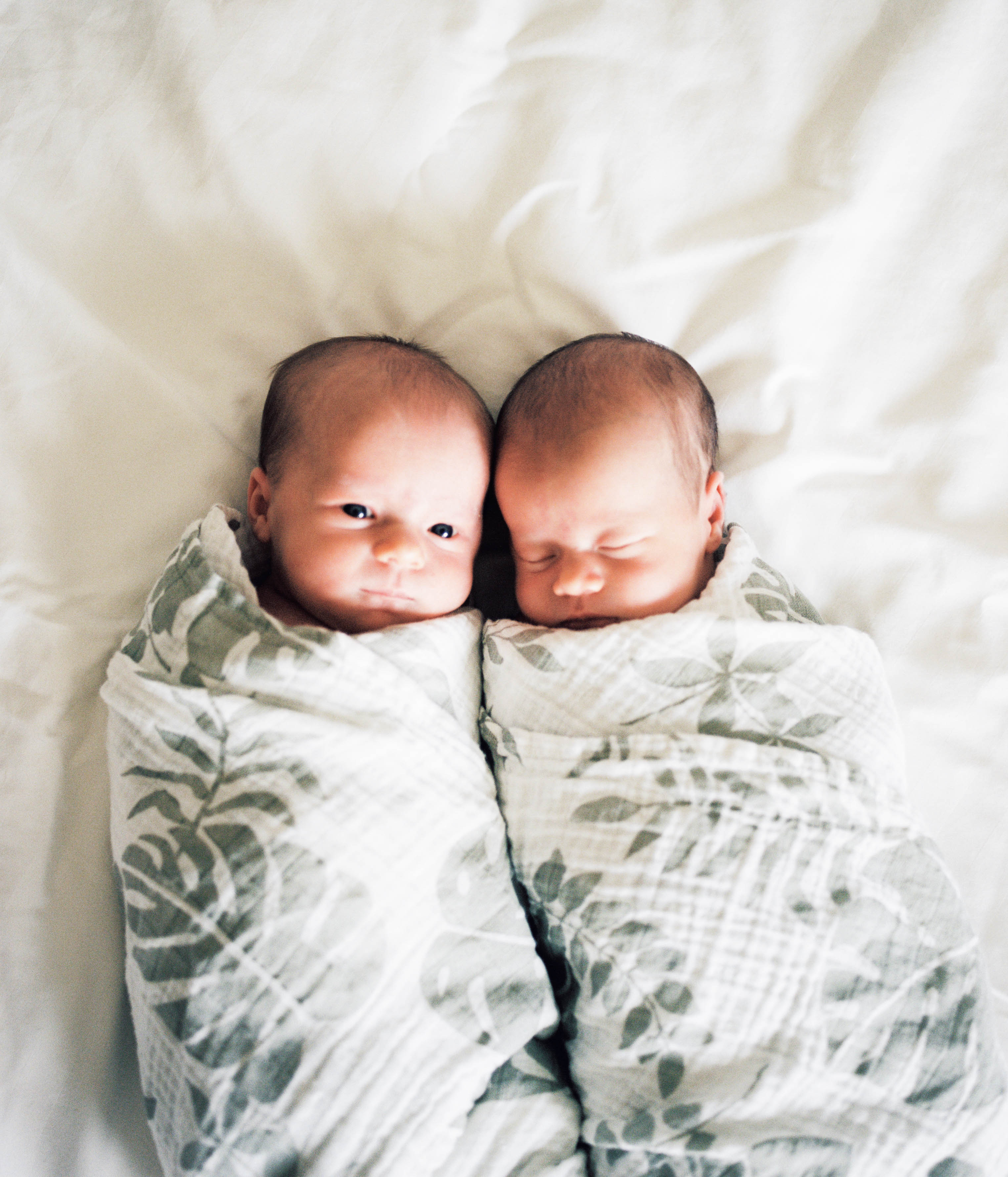 newborn twins